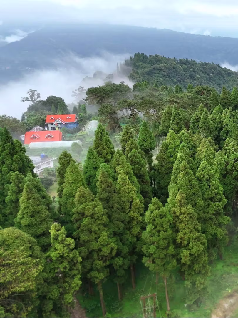 North Bengal tour packages - Explore North Bengal with Timeless Trek