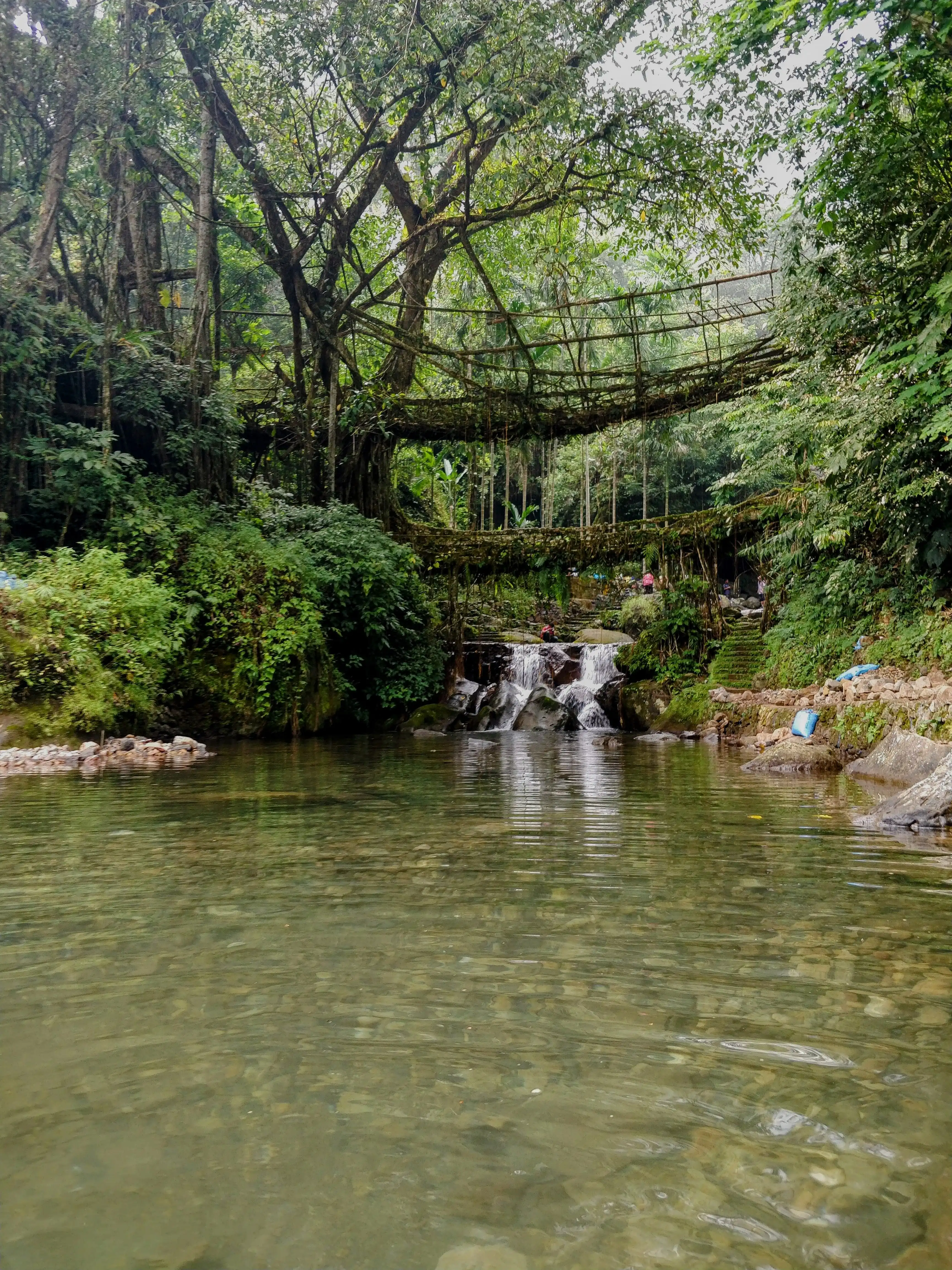 The world-famous Double Decker Living Root Bridge in Nongriat, Meghalaya