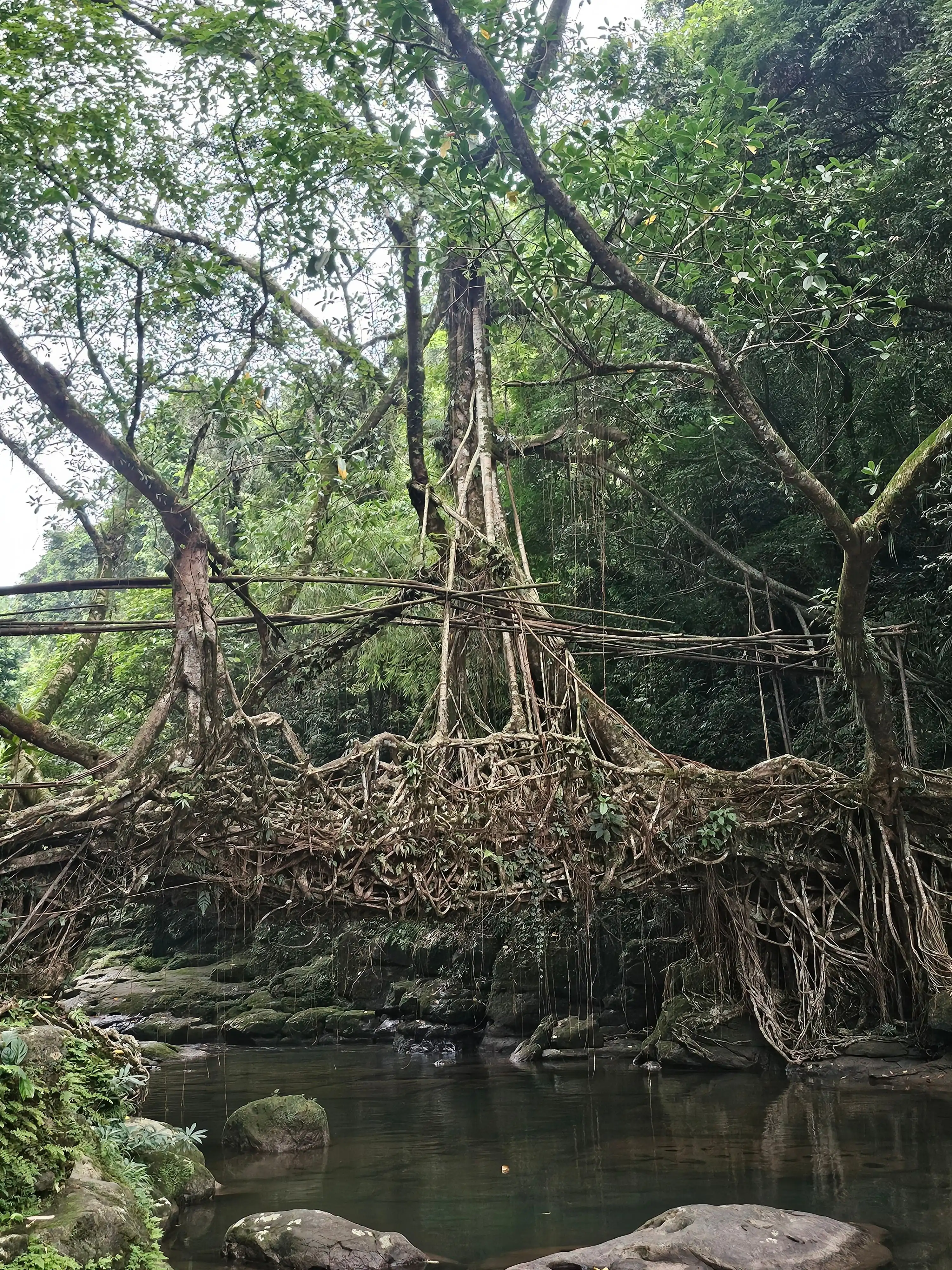 Meghalaya Nature Trail - Cascading Nohkalikai Falls