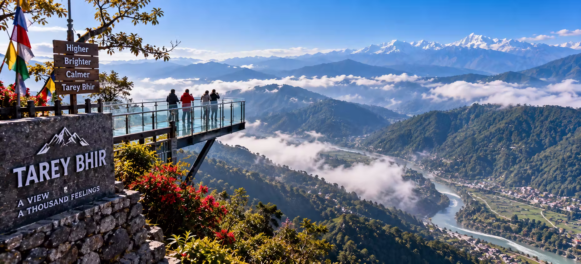 Vibrant terraced organic slopes of Temi Tea Garden in South Sikkim